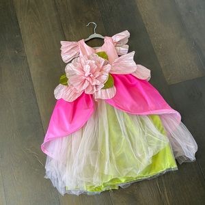 Pottery barn fairy costume